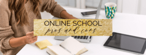online school pros and cons