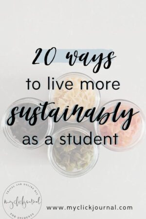 a student's guide to sustainability and zero waste | be eco friendly in college
